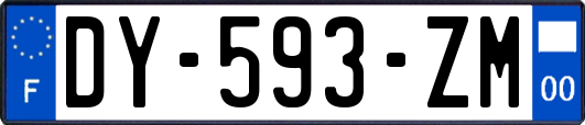 DY-593-ZM