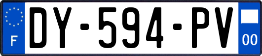 DY-594-PV