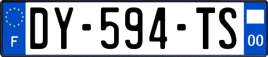 DY-594-TS