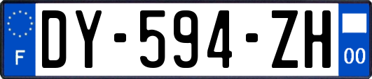 DY-594-ZH