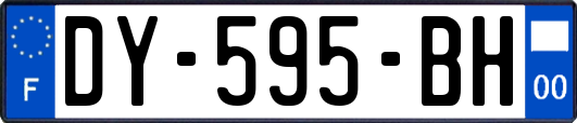 DY-595-BH