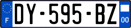 DY-595-BZ