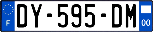 DY-595-DM