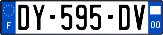 DY-595-DV