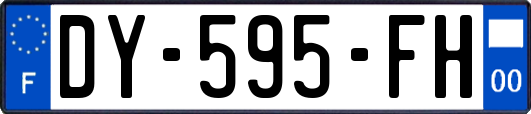 DY-595-FH