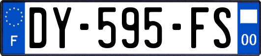 DY-595-FS