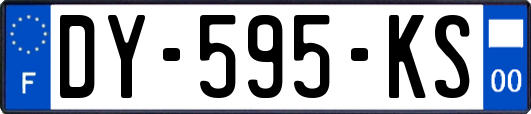 DY-595-KS