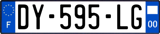 DY-595-LG