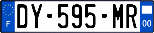 DY-595-MR