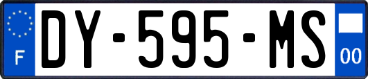 DY-595-MS