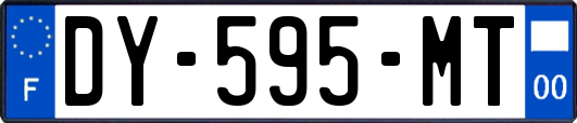 DY-595-MT