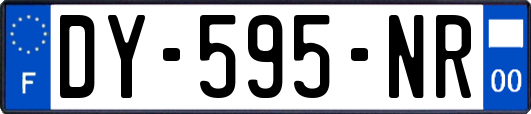 DY-595-NR