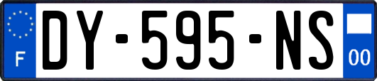 DY-595-NS