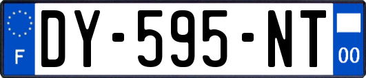 DY-595-NT