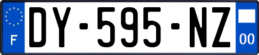 DY-595-NZ