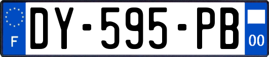 DY-595-PB