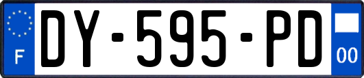 DY-595-PD