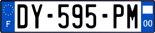 DY-595-PM