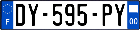 DY-595-PY