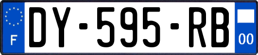 DY-595-RB