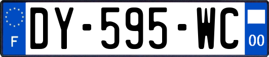 DY-595-WC