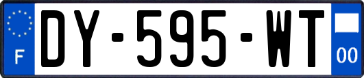 DY-595-WT