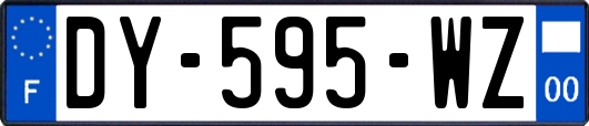 DY-595-WZ