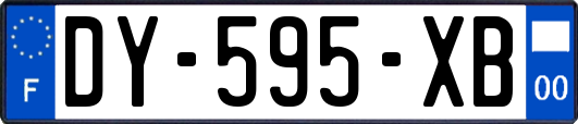 DY-595-XB