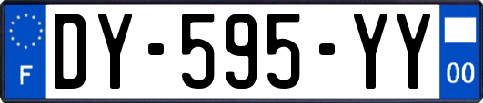 DY-595-YY