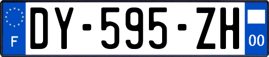 DY-595-ZH