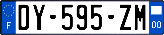 DY-595-ZM