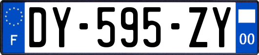 DY-595-ZY