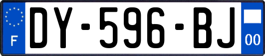 DY-596-BJ