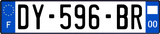 DY-596-BR