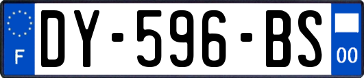 DY-596-BS