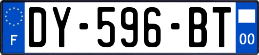 DY-596-BT