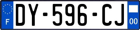 DY-596-CJ