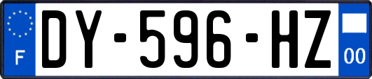 DY-596-HZ