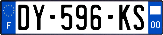 DY-596-KS