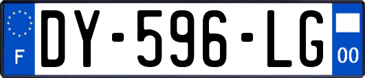DY-596-LG