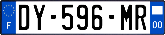 DY-596-MR