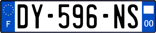 DY-596-NS
