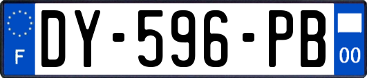 DY-596-PB