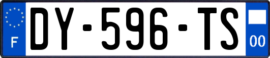 DY-596-TS