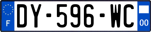 DY-596-WC