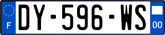 DY-596-WS