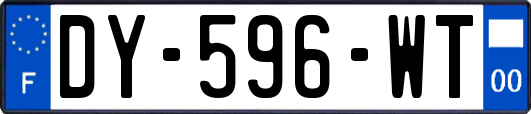 DY-596-WT