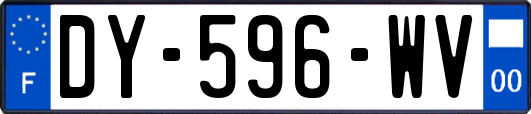 DY-596-WV