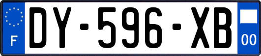 DY-596-XB