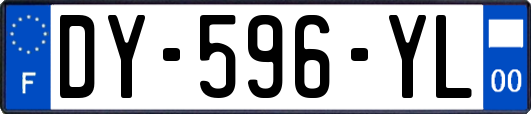 DY-596-YL